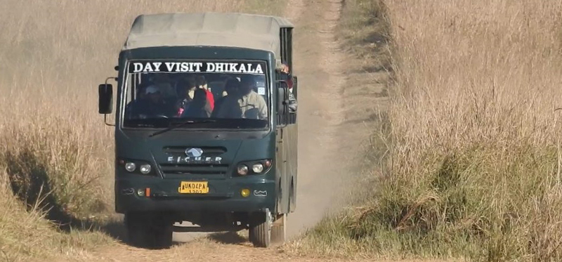 Why Dhikala Zone is the best to spot tigers in Jim Corbett?
